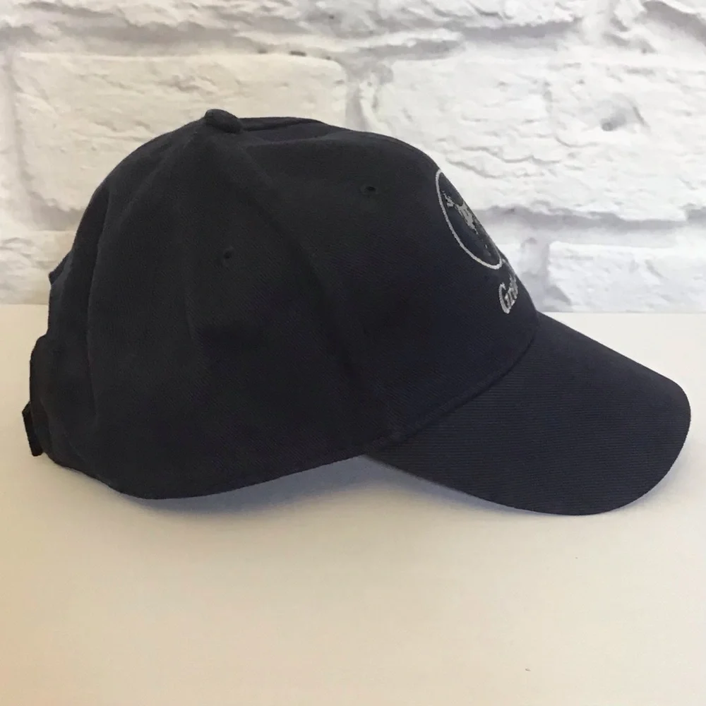 Great Dane Trailers NWOT Trucker Baseball Cap Navy Blue Adjustable USA Flag - Picture 4 of 8
